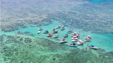 Passeio de Lancha Compartilhada ou Exclusivo Em Maragogi